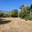  Terreno (Parcela) en venta en Chile, Puchuncavi, Valparaíso, Valparaíso, Chile