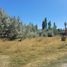  Land for sale in Neuquen, Confluencia, Neuquen