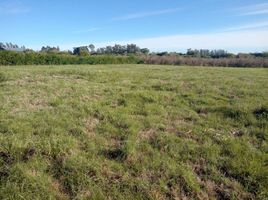  Land for sale in Colon, Entre Rios, Colon