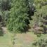  Land for sale in Moreno, Buenos Aires, Moreno
