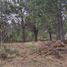  Land for sale in Rio Negro, Bariloche, Rio Negro