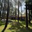 4 Habitación Casa en venta en Pinamar, Buenos Aires, Pinamar