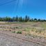  Land for sale in Confluencia, Neuquen, Confluencia