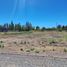  Land for sale in Neuquen, Confluencia, Neuquen