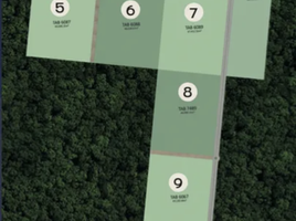  Land for sale in Tixkokob, Yucatan, Tixkokob