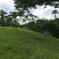  Land for sale in La Tebaida, Quindio, La Tebaida