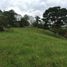  Land for sale in La Tebaida, Quindio, La Tebaida