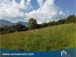  Terreno (Parcela) en venta en Tabio, Cundinamarca, Tabio