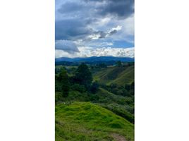  Land for sale in Retiro, Antioquia, Retiro