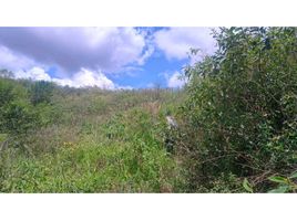  Terreno (Parcela) en venta en Dagua, Valle Del Cauca, Dagua