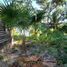 Terrain à vendre à Othon P Blanco, Quintana Roo, Othon P Blanco