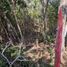  Terreno (Parcela) en venta en Cozumel, Quintana Roo, Cozumel, Quintana Roo