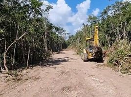  Terreno (Parcela) en venta en Cozumel, Quintana Roo, Cozumel, Quintana Roo