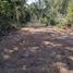  Terreno (Parcela) en venta en Cozumel, Quintana Roo, Cozumel, Quintana Roo