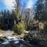  Land for sale in Neuquen, Lacar, Neuquen