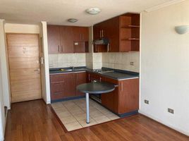 1 Habitación Departamento en venta en Cordillera, Santiago, Puente Alto, Cordillera