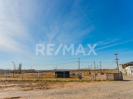  Land for sale in Neuquen, Confluencia, Neuquen