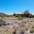  Land for sale in Confluencia, Neuquen, Confluencia