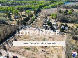  Land for sale in Confluencia, Neuquen, Confluencia