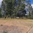  Land for sale in Confluencia, Neuquen, Confluencia