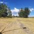  Land for sale in Confluencia, Neuquen, Confluencia