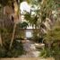 1 Habitación Departamento en venta en Cozumel, Quintana Roo, Cozumel, Quintana Roo