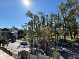 3 Habitación Casa en venta en Tres De Febrero, Buenos Aires, Tres De Febrero