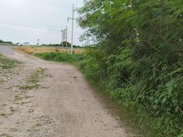  Grundstück zu verkaufen in Othon P Blanco, Quintana Roo, Othon P Blanco