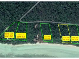  Terreno (Parcela) en venta en Othon P Blanco, Quintana Roo, Othon P Blanco