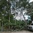  Grundstück zu verkaufen in Othon P Blanco, Quintana Roo, Othon P Blanco