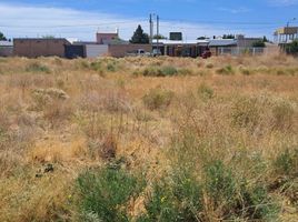  Land for sale in Confluencia, Neuquen, Confluencia