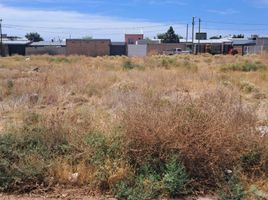  Land for sale in Confluencia, Neuquen, Confluencia