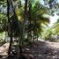  Grundstück zu verkaufen in Othon P Blanco, Quintana Roo, Othon P Blanco