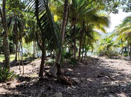  Grundstück zu verkaufen in Othon P Blanco, Quintana Roo, Othon P Blanco