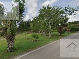  Grundstück zu verkaufen in Conkal, Yucatan, Conkal