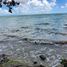  Grundstück zu verkaufen in Othon P Blanco, Quintana Roo, Othon P Blanco