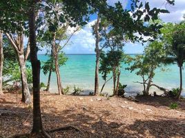 Grundstück zu verkaufen in Othon P Blanco, Quintana Roo, Othon P Blanco
