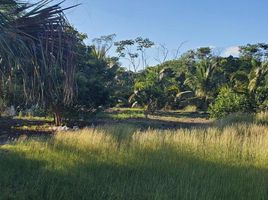  Grundstück zu verkaufen in Othon P Blanco, Quintana Roo, Othon P Blanco