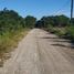  Grundstück zu verkaufen in Othon P Blanco, Quintana Roo, Othon P Blanco