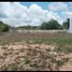 Terrain à vendre à Othon P Blanco, Quintana Roo, Othon P Blanco
