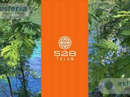  Land for sale in Cozumel, Quintana Roo, Cozumel
