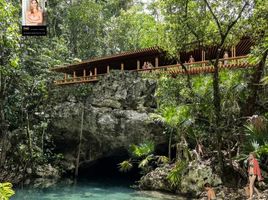  Grundstück zu verkaufen in Cozumel, Quintana Roo, Cozumel