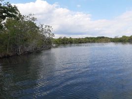  Terreno (Parcela) en venta en Othon P Blanco, Quintana Roo, Othon P Blanco