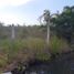  Terreno (Parcela) en venta en Othon P Blanco, Quintana Roo, Othon P Blanco