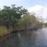  Terreno (Parcela) en venta en Othon P Blanco, Quintana Roo, Othon P Blanco