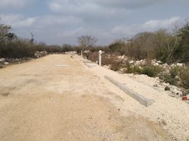  Land for sale in Merida, Yucatan, Merida, Yucatan