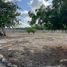  Terreno (Parcela) en venta en Motul, Yucatán, Motul