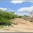  Grundstück zu verkaufen in Conkal, Yucatan, Conkal