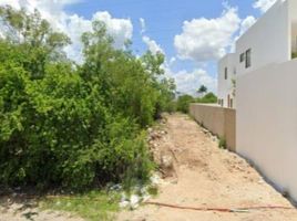  Grundstück zu verkaufen in Conkal, Yucatan, Conkal