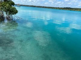  Terreno (Parcela) en venta en Othon P Blanco, Quintana Roo, Othon P Blanco